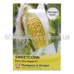 Thompson & Morgan Sweetcorn Early Extra Sweet